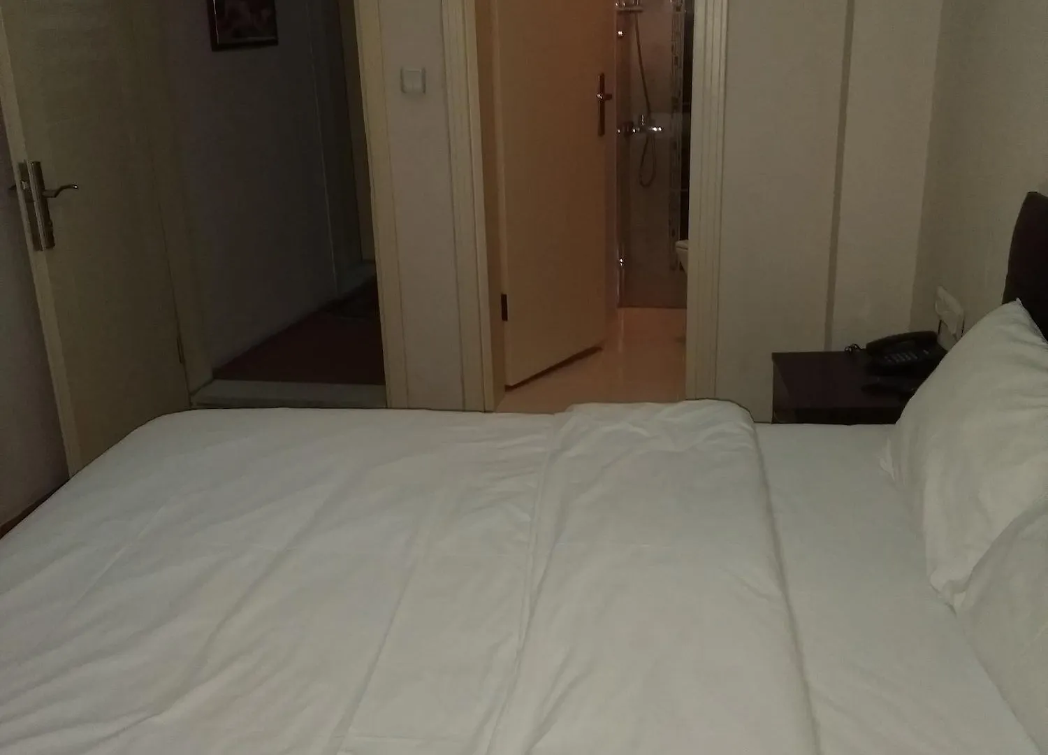 Ercan Inn Hotel 伊斯坦布尔 2*,