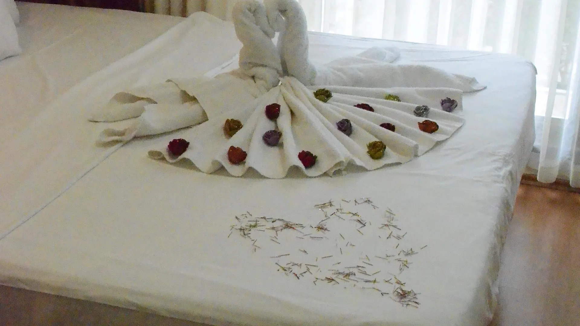 Ercan Inn Hotel 伊斯坦布尔